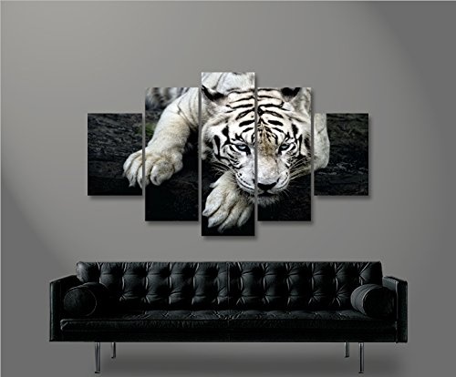 islandburner Bild Bilder auf Leinwand Bengalischer Tiger V2 MF XXL Poster Leinwandbild Wandbild Dekoartikel Wohnzimmer Marke