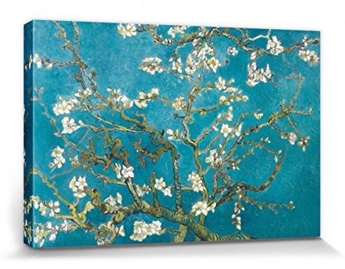 1art1 57147 Vincent Van Gogh - Blühende Mandelbaumzweige, 1890 Leinwandbild Auf Keilrahmen 120 x 80 cm