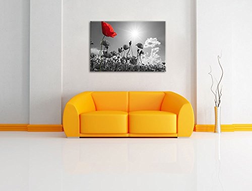 wunderschönes Mohnblumenfeld im Sommer schwarz/weiß Format: 80x60 auf Leinwand, XXL riesige Bilder fertig gerahmt mit Keilrahmen, Kunstdruck auf Wandbild mit Rahmen, günstiger als Gemälde oder Ölbild, kein Poster oder Plakat