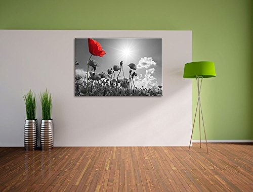 wunderschönes Mohnblumenfeld im Sommer schwarz/weiß Format: 80x60 auf Leinwand, XXL riesige Bilder fertig gerahmt mit Keilrahmen, Kunstdruck auf Wandbild mit Rahmen, günstiger als Gemälde oder Ölbild, kein Poster oder Plakat