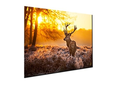 Leinwandbild Hirsch im Wald bei Sonnenuntergang Wandbild auf Keilrahmen. Beste Qualität aus Deutschland! Handgefertigt! 120x80cm