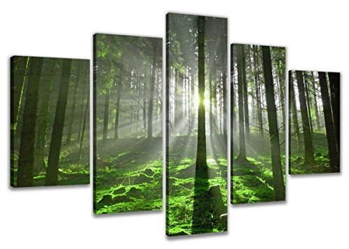 Visario 6312 Bild auf Leinwand Wald fertig gerahmte Bilder 5 Teile Marke original, 200 x 100 cm