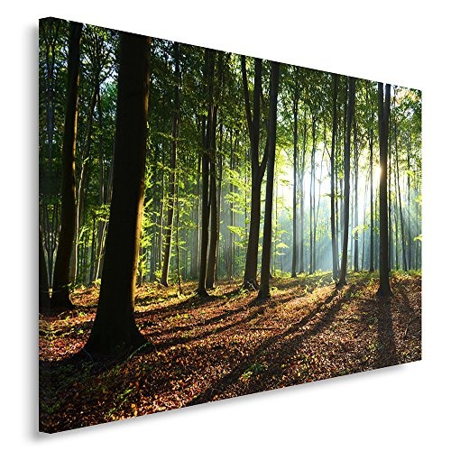 Feeby, Leinwandbild, Bilder, Wand Bild, Wandbilder, Kunstdruck 80x120cm, Wald, Baum, Landschaft, Natur, GRÜN