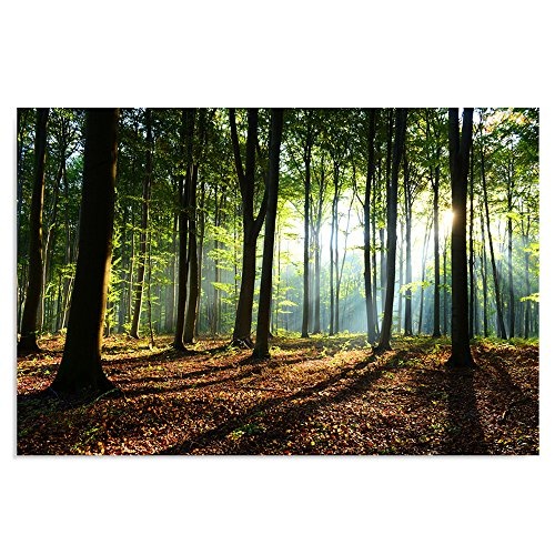 Feeby, Leinwandbild, Bilder, Wand Bild, Wandbilder, Kunstdruck 80x120cm, Wald, Baum, Landschaft, Natur, GRÜN