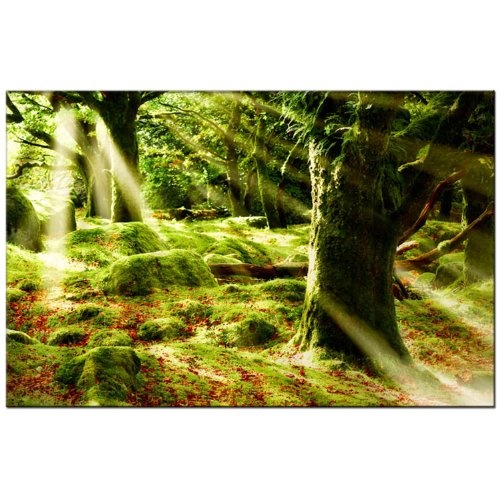 TOPPREIS nur HEUTE (Morning Sun 110x80cm) Kunstdruck Wald MORGENSONNE grün Bilder fertig gerahmt mit Keilrahmen riesig. Ausführung Kunstdruck auf Leinwand. Günstig inkl Rahmen