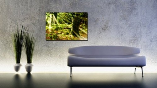 TOPPREIS nur HEUTE (Morning Sun 110x80cm) Kunstdruck Wald...