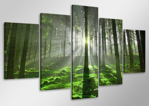 Bild & Kunstdruck der deutschen Marke Visario 100 x 50 cm 6406 Bilder auf Leinwand Kunstdrucke Wald Lichtung Wandbild