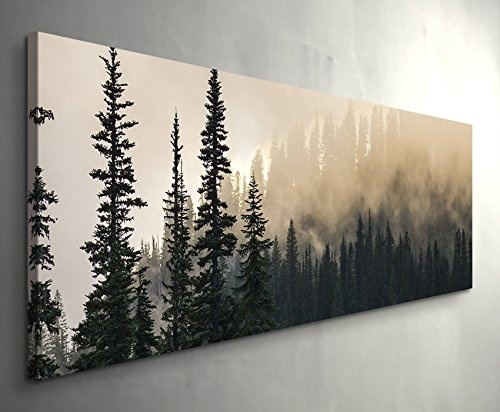 Eau Zone Wandbild auf Leinwand 150x50cm Wald im Nebel