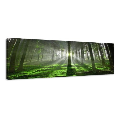 Visario Leinwandbilder 5706 Bild auf Leinwand Wald, 120 x...