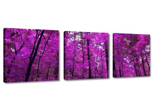 Visario Leinwandbilder 4210 Bilder auf Leinwand Bild 150 x 50 cm Lila Wald drei Teile