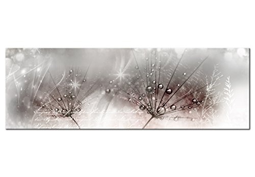 murando - Bilder Pusteblume 150x50 cm Vlies Leinwandbild 1 TLG Kunstdruck modern Wandbilder XXL Wanddekoration Design Wand Bild - Design Blumen b-C-0201-b-d