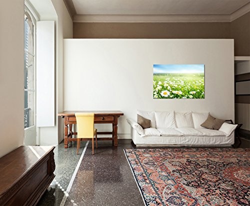 120x80cm Gänseblümchen Wiese Frühling Himmel - Leinwandbild auf Keilrahmen modern stilvoll - Bilder und Dekoration