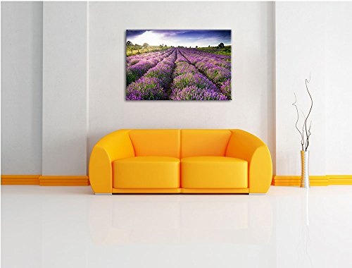 Lavendelfeld Provence Bild auf Leinwand, XXL riesige...