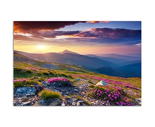 120x80cm - Fotodruck auf Leinwand und Rahmen Berge Alpenrosen Berge Himmel Sommer - Leinwandbild auf Keilrahmen modern stilvoll - Bilder und Dekoration