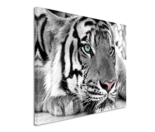 120x80cm Leinwandbild auf Keilrahmen Tiger Kopf Gesicht Nahaufnahme Wandbild auf Leinwand als Panorama