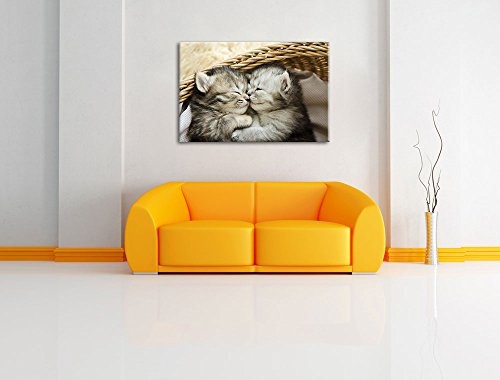 Baby Katze, Bild auf Leinwand, XXL riesige Bilder fertig gerahmt mit Keilrahmen, Kunstdruck auf Wandbild mit Rahmen, günstiger als Gemälde oder Ölbild, kein Poster oder Plakat, Format:80x60 cm