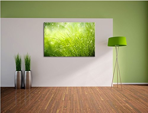 Nasses Gras Format: 80x60 cm auf Leinwand, XXL riesige Bilder fertig gerahmt mit Keilrahmen, Kunstdruck auf Wandbild mit Rahmen, günstiger als Gemälde oder Ölbild, kein Poster oder Plakat