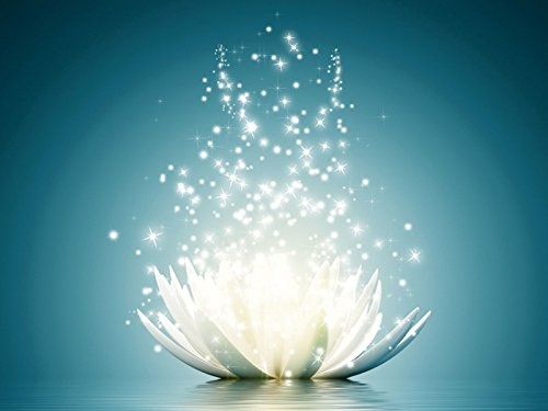 Artland Qualitätsbilder I Bild auf Leinwand Leinwandbilder Vadim Georgiev Magie der Lotus-Blume türkis Botanik Blumen Seerose Digitale Kunst Blau A7KR