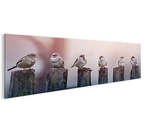 islandburner Bild Bilder auf Leinwand Birds Vögel Spatz auf Holzsteg Panorama XXL Poster Leinwandbild Wandbild Dekoartikel Wohnzimmer Marke