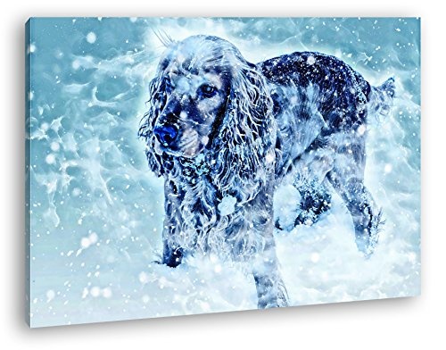 deyoli süßer Kleiner Hund im Schnee Format:...