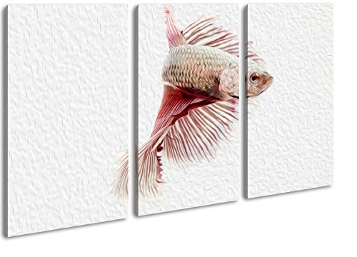 deyoli roter Kampffisch Effekt: Zeichnung Format: 3-teilig 120x80 als Leinwandbild, Motiv fertig gerahmt auf Echtholzrahmen, Hochwertiger Digitaldruck mit Rahmen, Kein Poster oder Plakat