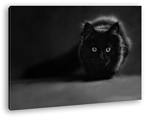 deyoli lauernde Schwarze Katze Effekt: Schwarz/Weiß Format: 80x60 als Leinwandbild, Motiv fertig gerahmt auf Echtholzrahmen, Hochwertiger Digitaldruck mit Rahmen, Kein Poster oder Plakat