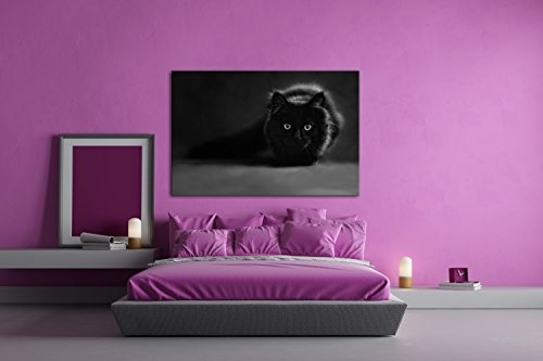deyoli lauernde Schwarze Katze Effekt: Schwarz/Weiß Format: 80x60 als Leinwandbild, Motiv fertig gerahmt auf Echtholzrahmen, Hochwertiger Digitaldruck mit Rahmen, Kein Poster oder Plakat