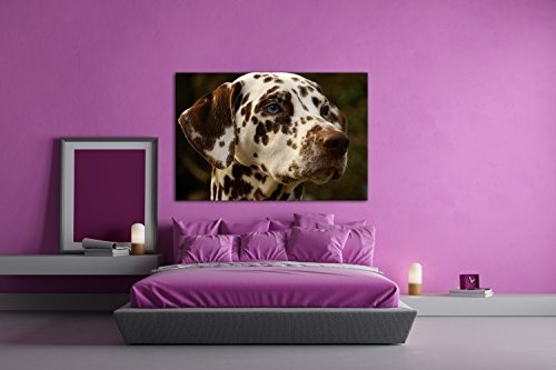 deyoli Dalmatien Hund mit blauen Augen im Format: 120x80 als Leinwandbild, Motiv fertig gerahmt auf Echtholzrahmen, Hochwertiger Digitaldruck mit Rahmen, Kein Poster oder Plakat