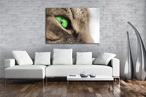 wundervolle Katze mit grünen Augen im Format: 120x80 als Leinwandbild, Motiv fertig gerahmt auf Echtholzrahmen, Hochwertiger Digitaldruck mit Rahmen, Kein Poster oder Plakat