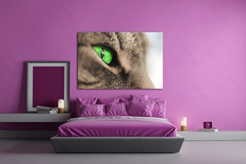 wundervolle Katze mit grünen Augen im Format: 120x80 als Leinwandbild, Motiv fertig gerahmt auf Echtholzrahmen, Hochwertiger Digitaldruck mit Rahmen, Kein Poster oder Plakat