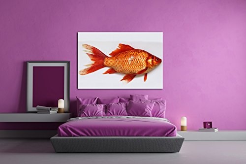 deyoli glänzender Goldfisch im Format: 120x80 als Leinwandbild, Motiv fertig gerahmt auf Echtholzrahmen, Hochwertiger Digitaldruck mit Rahmen, Kein Poster oder Plakat