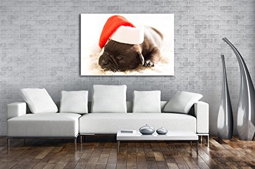deyoli süßer Hund mit Weihnachtsmütze im Format: 120x80 als Leinwandbild, Motiv fertig gerahmt auf Echtholzrahmen, Hochwertiger Digitaldruck mit Rahmen, Kein Poster oder Plakat