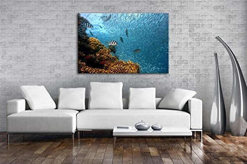 deyoli Fische in Bezaubernder Unterwasserwelt im Format: 120x80 als Leinwandbild, Motiv fertig gerahmt auf Echtholzrahmen, Hochwertiger Digitaldruck mit Rahmen, Kein Poster oder Plakat
