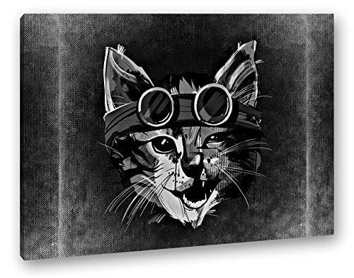 deyoli süße Katze mit Einer Brille Effekt: Schwarz/Weiß Format: 60x40 als Leinwandbild, Motiv fertig gerahmt auf Echtholzrahmen, Hochwertiger Digitaldruck mit Rahmen, Kein Poster oder Plakat