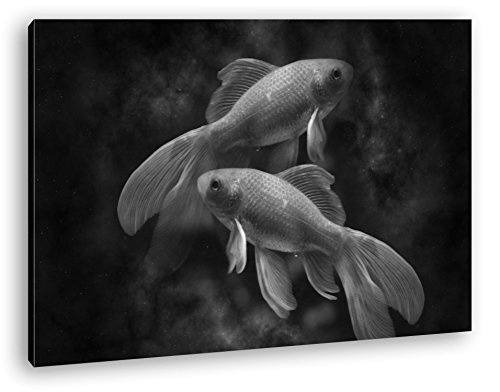 deyoli Dark Sternzeichen Fische Effekt: Schwarz/Weiß Format: 60x40 als Leinwandbild, Motiv fertig gerahmt auf Echtholzrahmen, Hochwertiger Digitaldruck mit Rahmen, Kein Poster oder Plakat