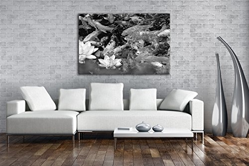 deyoli Teich voller Koi Karpfen Effekt: Schwarz/Weiß Format: 60x40 als Leinwandbild, Motiv fertig gerahmt auf Echtholzrahmen, Hochwertiger Digitaldruck mit Rahmen, Kein Poster oder Plakat