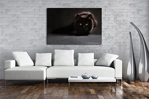 lauernde Schwarze Katze Effekt: Zeichnung Format: 80x60 als Leinwandbild, Motiv fertig gerahmt auf Echtholzrahmen, Hochwertiger Digitaldruck mit Rahmen, Kein Poster oder Plakat