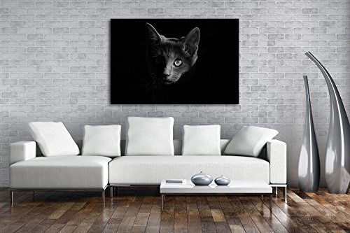 deyoli Dark Schwarze Katze Effekt: Schwarz/Weiß...