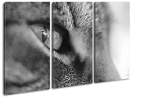 wundervolle Katze mit grünen Augen Effekt: Schwarz/Weiß Format: 3-teilig 120x80 als Leinwandbild, Motiv fertig gerahmt auf Echtholzrahmen, Hochwertiger Digitaldruck mit Rahmen, Kein Poster oder Plakat