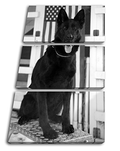 Braver Schwarzer Schäferhund Effekt: Schwarz/Weiß Format: 3-teilig 120x80 als Leinwandbild, Motiv fertig gerahmt auf Echtholzrahmen, Hochwertiger Digitaldruck mit Rahmen, Kein Poster oder Plakat