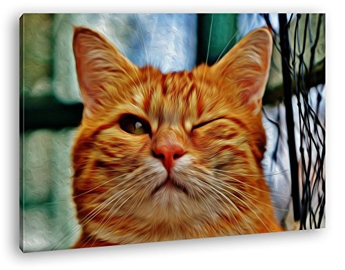 deyoli zwinkernde Katze Effekt: Zeichnung Format: 80x60...