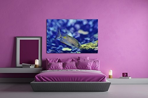 deyoli Kleiner Gepunkteter Fisch im Meer Effekt: Zeichnung Format: 100x70 als Leinwandbild, Motiv fertig gerahmt auf Echtholzrahmen, Hochwertiger Digitaldruck mit Rahmen, Kein Poster oder Plakat