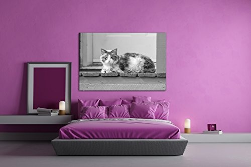 deyoli süße Katze Effekt: Schwarz/Weiß Format: 100x70 als Leinwandbild, Motiv fertig gerahmt auf Echtholzrahmen, Hochwertiger Digitaldruck mit Rahmen, Kein Poster oder Plakat