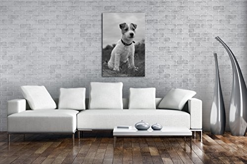 deyoli süßer Jack Russell Terrier Effekt: Schwarz/Weiß Format: 100x70 als Leinwandbild, Motiv fertig gerahmt auf Echtholzrahmen, Hochwertiger Digitaldruck mit Rahmen, Kein Poster oder Plakat