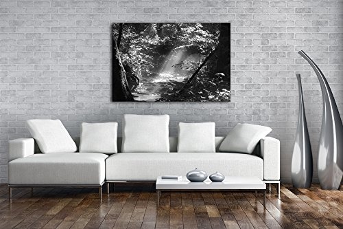 deyoli Kleiner Bach im Wald Effekt: Schwarz/Weiß Format: 60x40 als Leinwandbild, Motiv fertig gerahmt auf Echtholzrahmen, Hochwertiger Digitaldruck mit Rahmen, Kein Poster oder Plakat