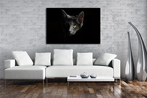 deyoli Dark Schwarze Katze Effekt: Zeichnung Format: 80x60 als Leinwandbild, Motiv fertig gerahmt auf Echtholzrahmen, Hochwertiger Digitaldruck mit Rahmen, Kein Poster oder Plakat