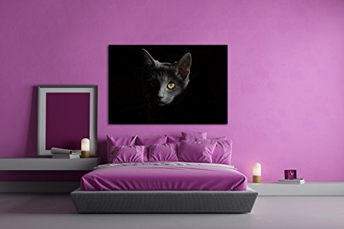 deyoli Dark Schwarze Katze Effekt: Zeichnung Format: 80x60 als Leinwandbild, Motiv fertig gerahmt auf Echtholzrahmen, Hochwertiger Digitaldruck mit Rahmen, Kein Poster oder Plakat