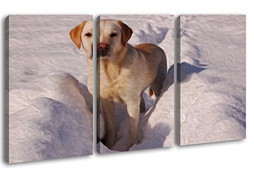 Drolliger Labrador im Schnee Effekt: Zeichnung Format:...