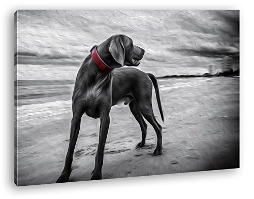 deyoli großer Hund am Strand Effekt: Zeichnung...