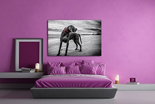 deyoli großer Hund am Strand Effekt: Zeichnung Format: 120x80 als Leinwandbild, Motiv fertig gerahmt auf Echtholzrahmen, Hochwertiger Digitaldruck mit Rahmen, Kein Poster oder Plakat